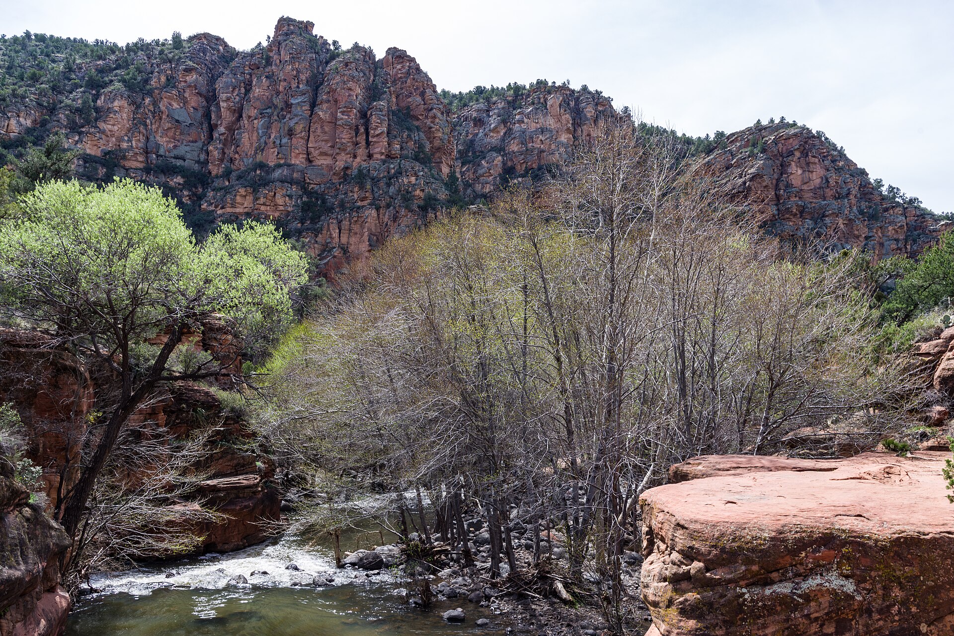 Sedona red rock hiking trail