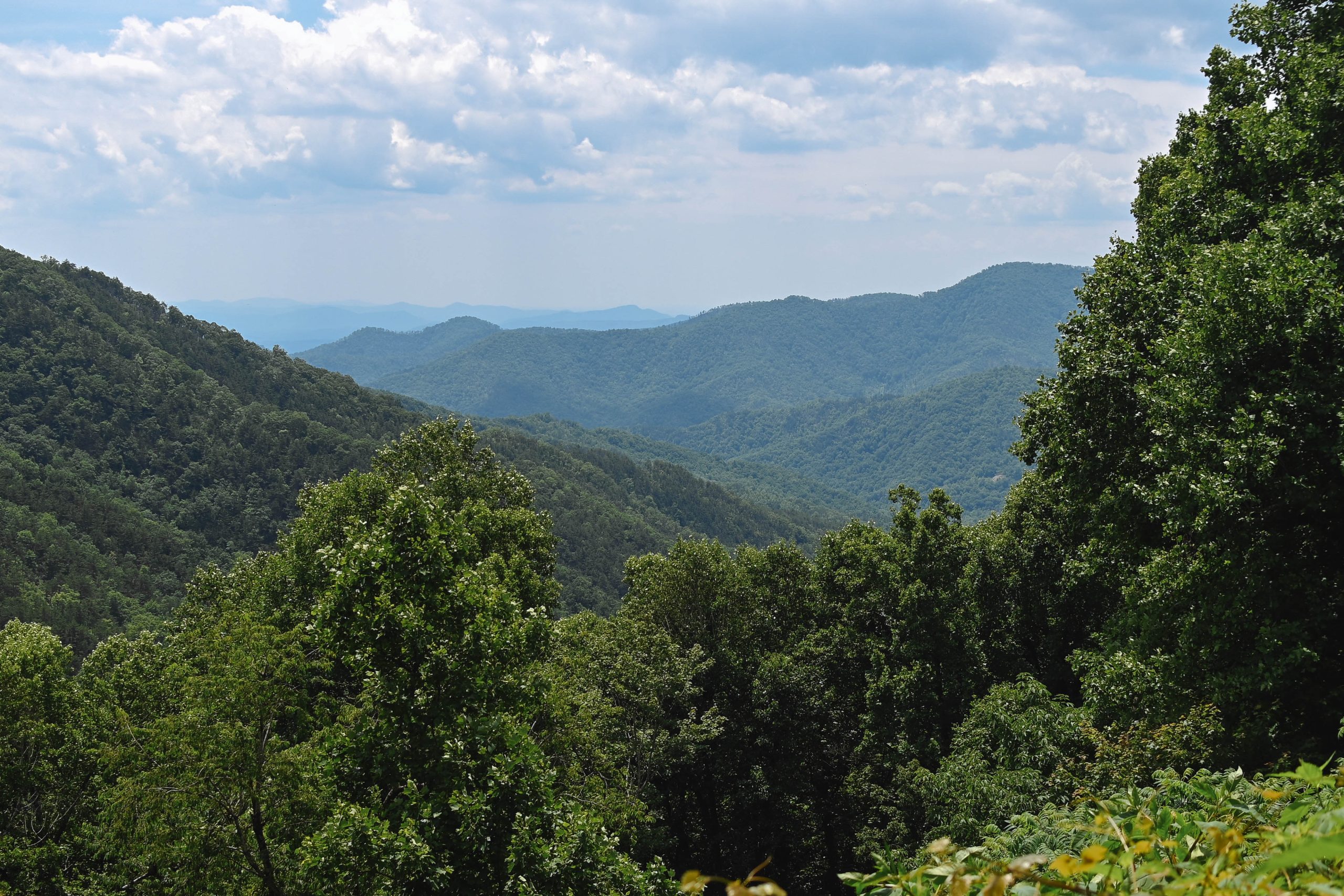 Scenic mountain view from the Blue Ridge Parkway