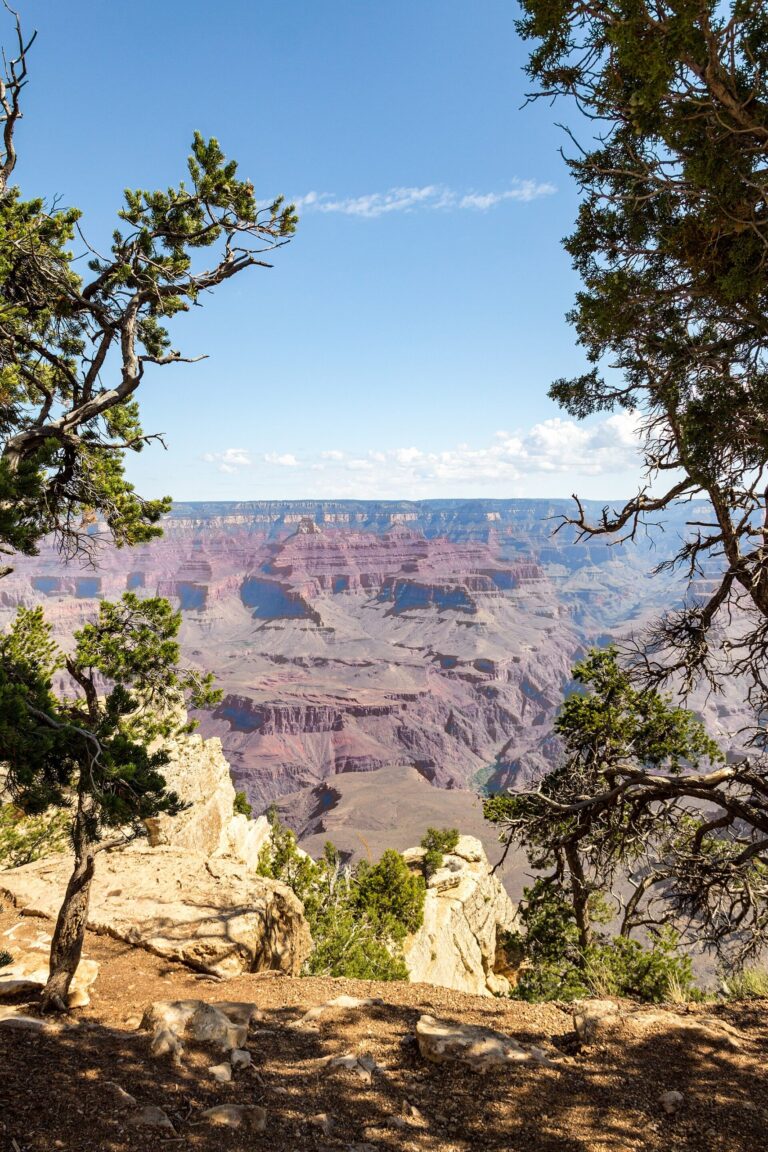 Grand Canyon South Rim: What First-Time Visitors Should Know