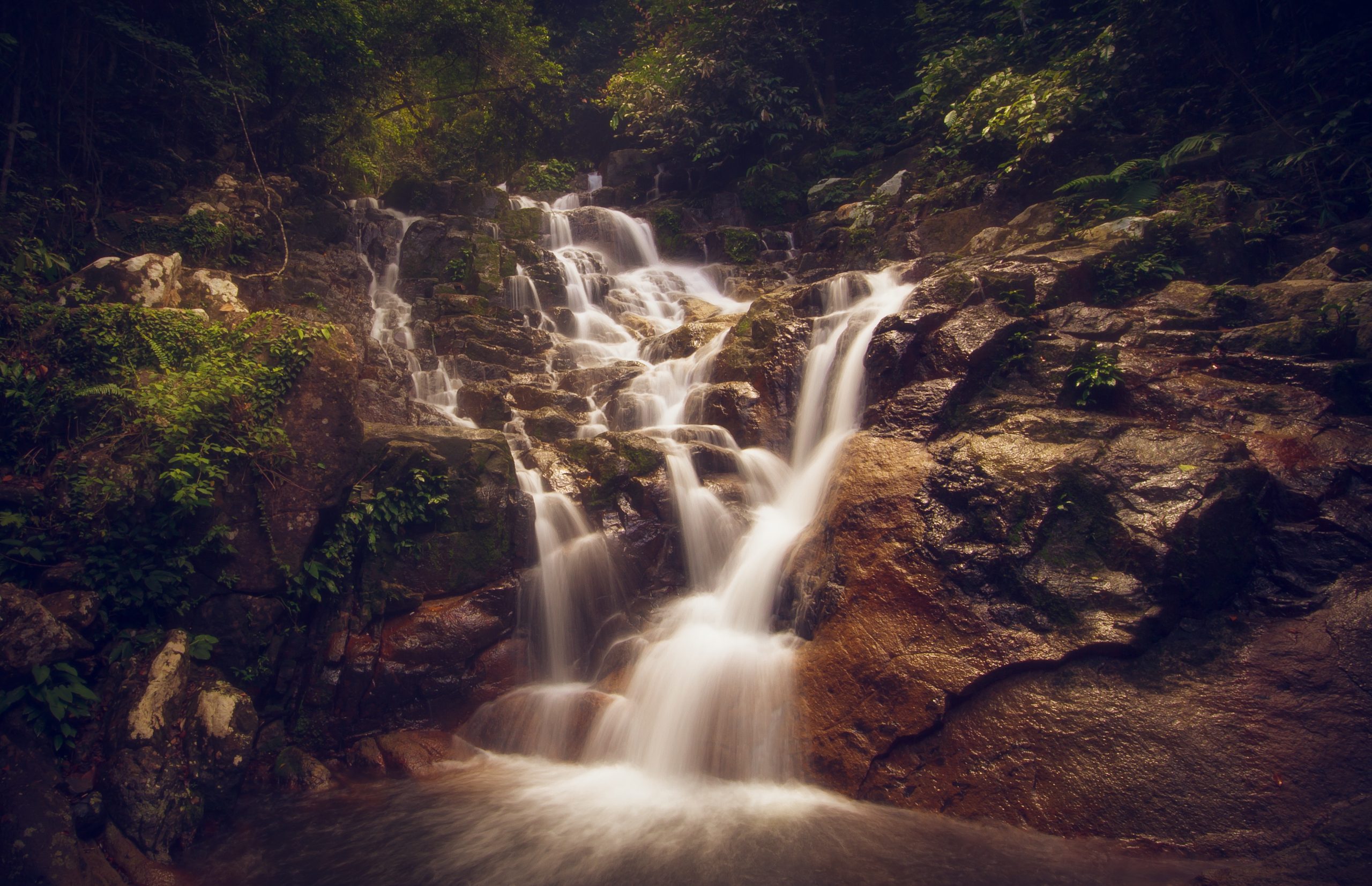 Waterfall in a Pacific Northwest forest