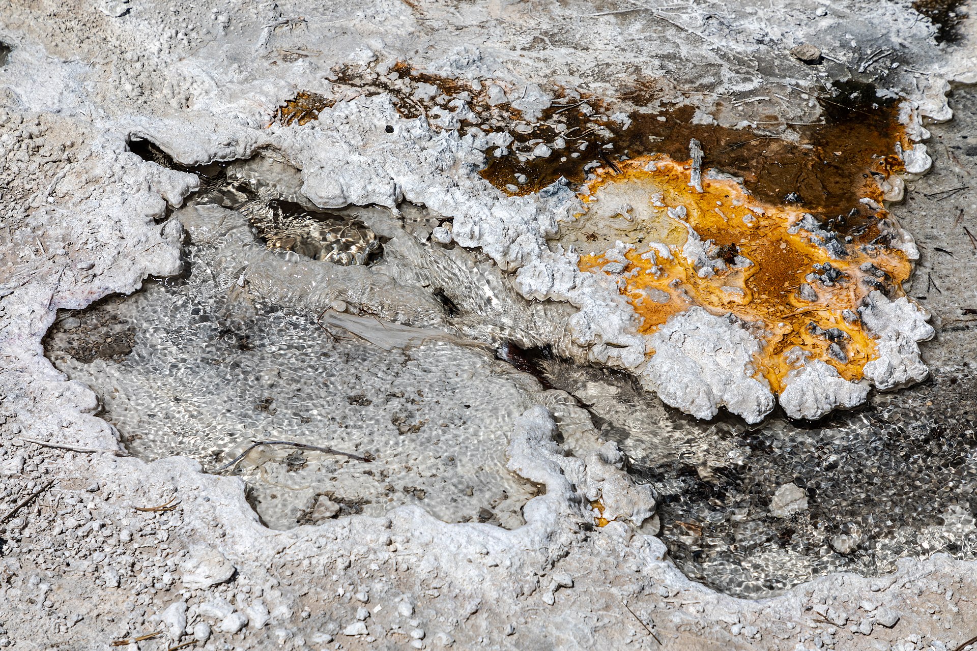 Yellowstone geothermal landscape